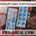 Sildénafil Gelée Orale Kamagra new15